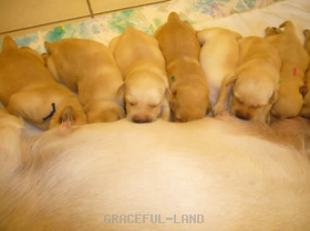 まだまだ離さないよ~。いっぱい飲むんだ~